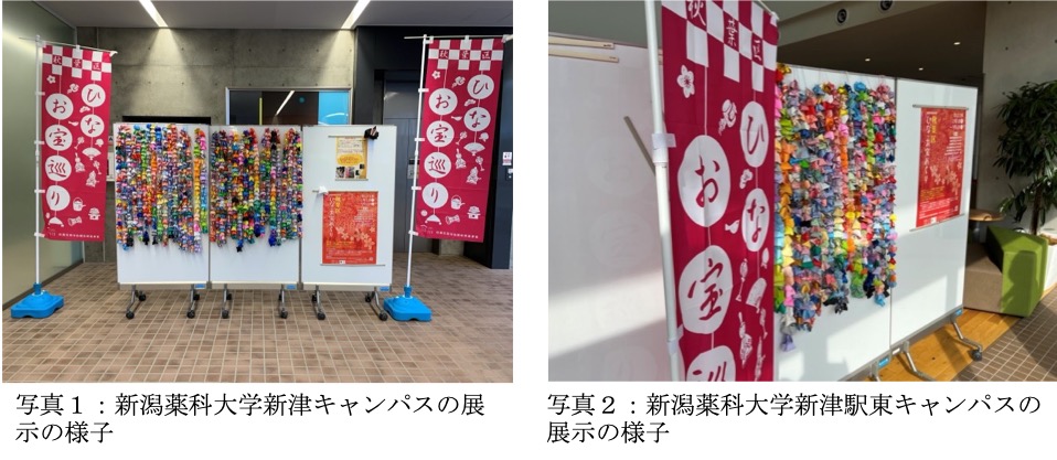 新潟薬科大学新津キャンパス・新津駅東キャンパスに展示されたつるし雛の様子